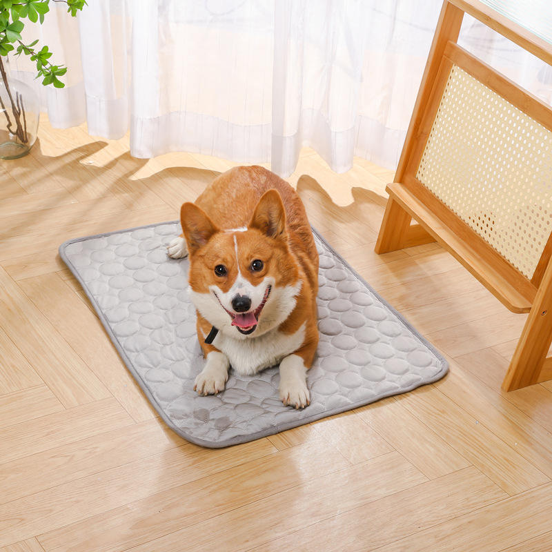 ChillMat Cooling Pad